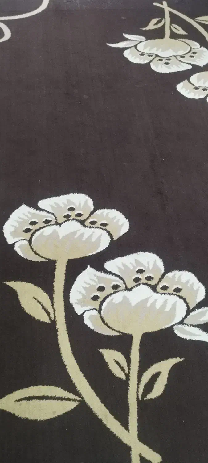 فرش 12متری|فرش|مرودشت, رودبال|دیوار