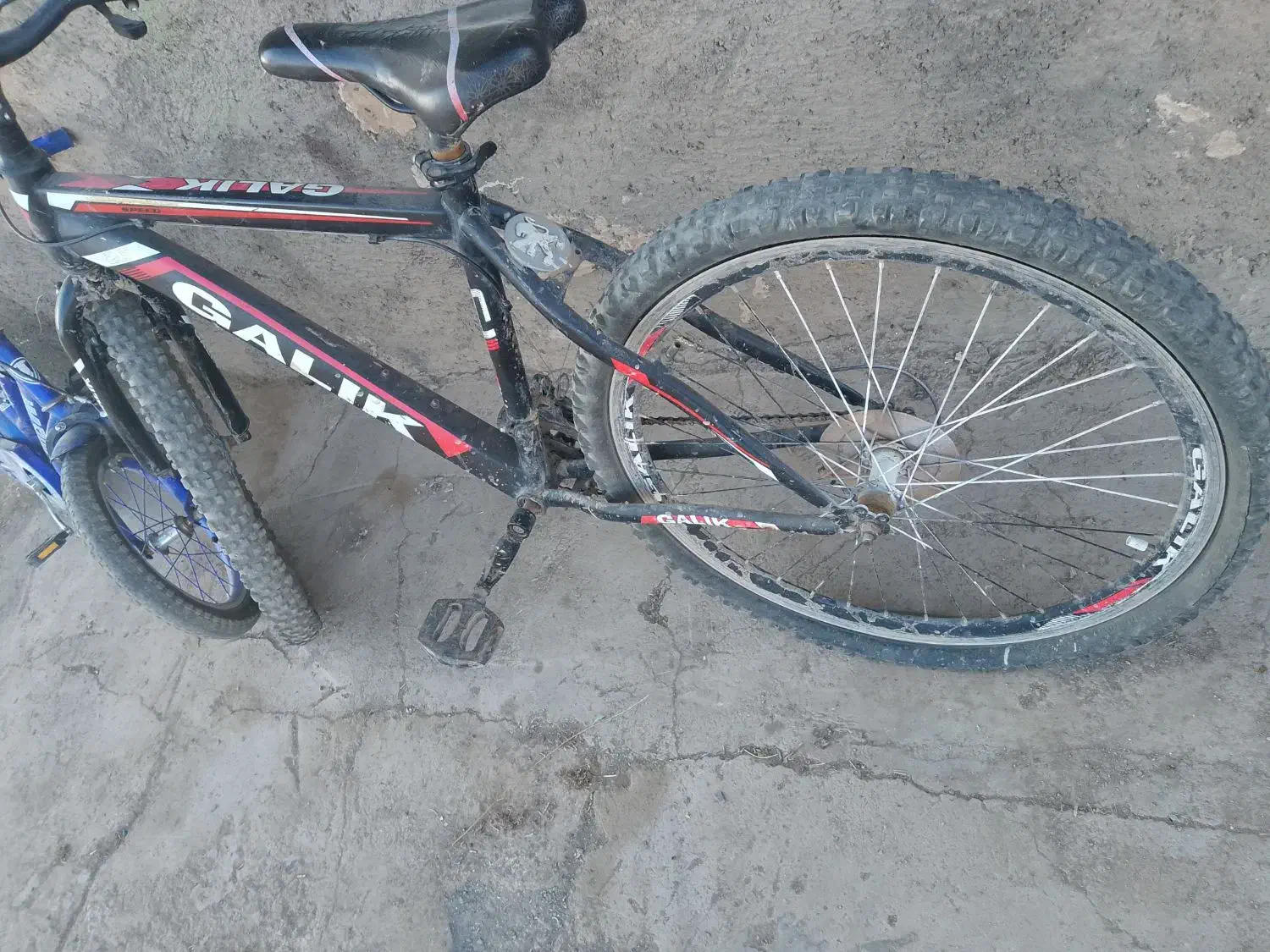 دوچرخه|دوچرخه، اسکیت، اسکوتر|نیشابور, مازول|دیوار