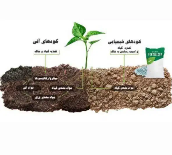 کمپوست گیاهی|خدمات باغبانی و درختکاری|صوفیان, |دیوار