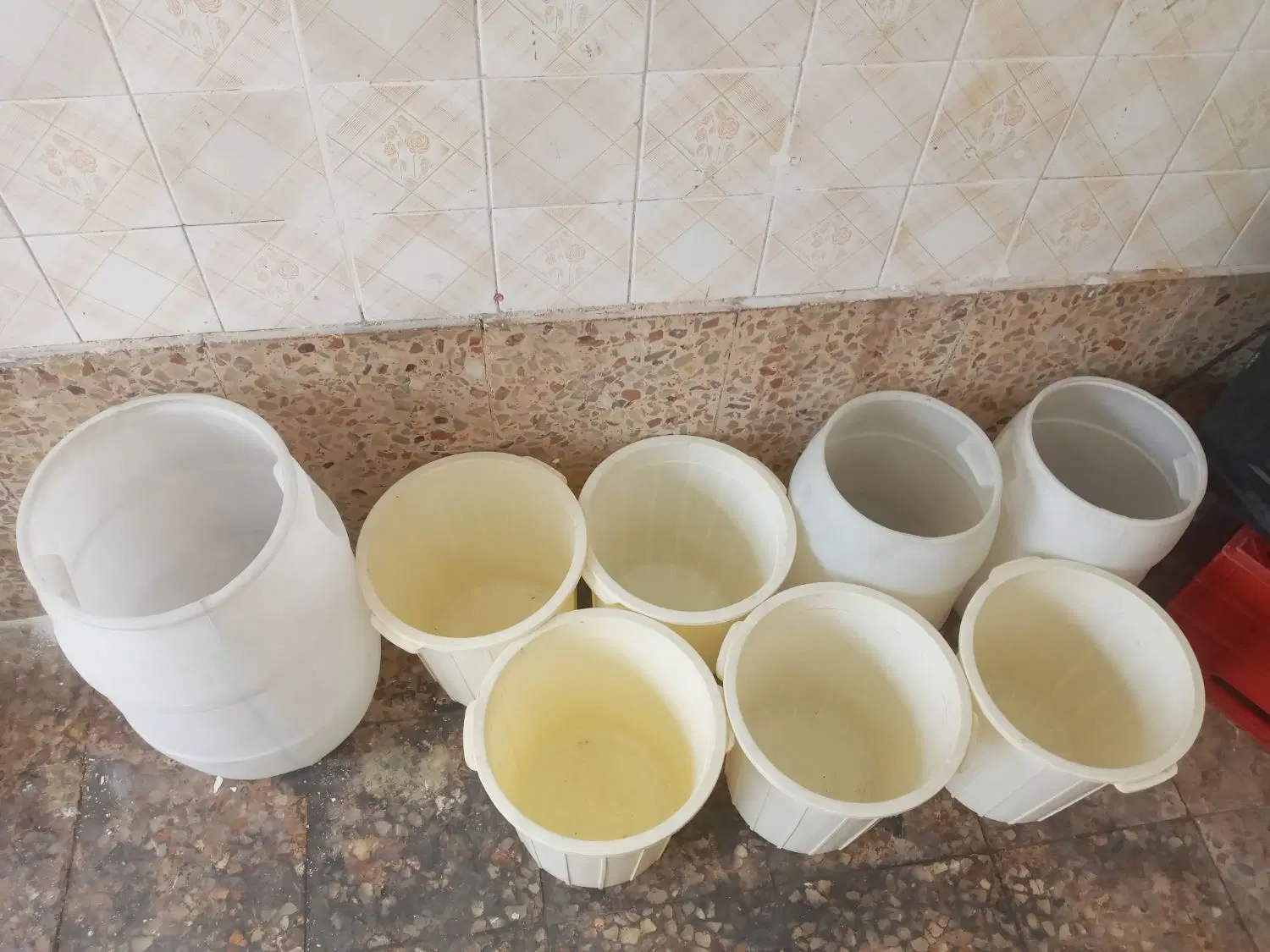سطل|ظروف نگهدارنده، پلاستیکی، یک‌بارمصرف|تبریز, |دیوار