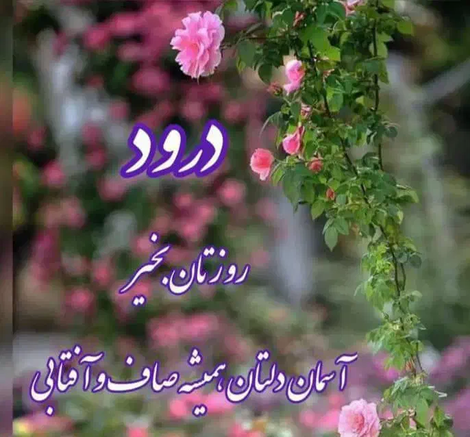 گمشده|اشیا|داراب, |دیوار