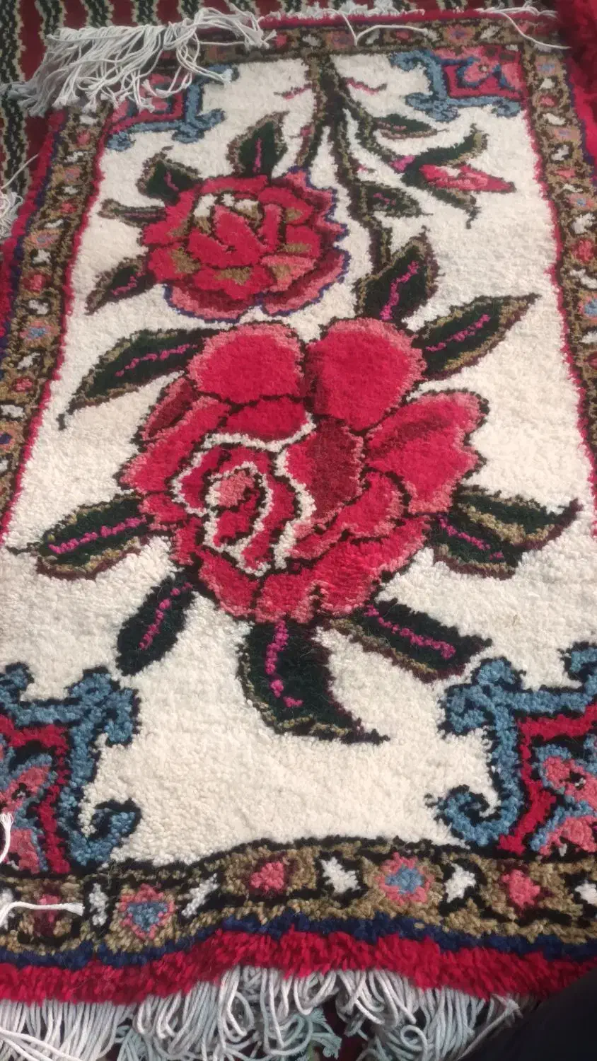 دوعدد پادری خوشرنگ|پادری|تبریز, |دیوار