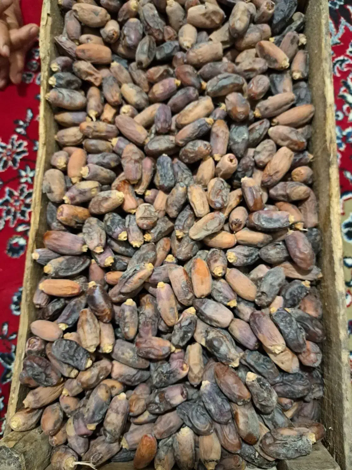 فروش  خرماء دیری   موجود|حراج|کارون, |دیوار