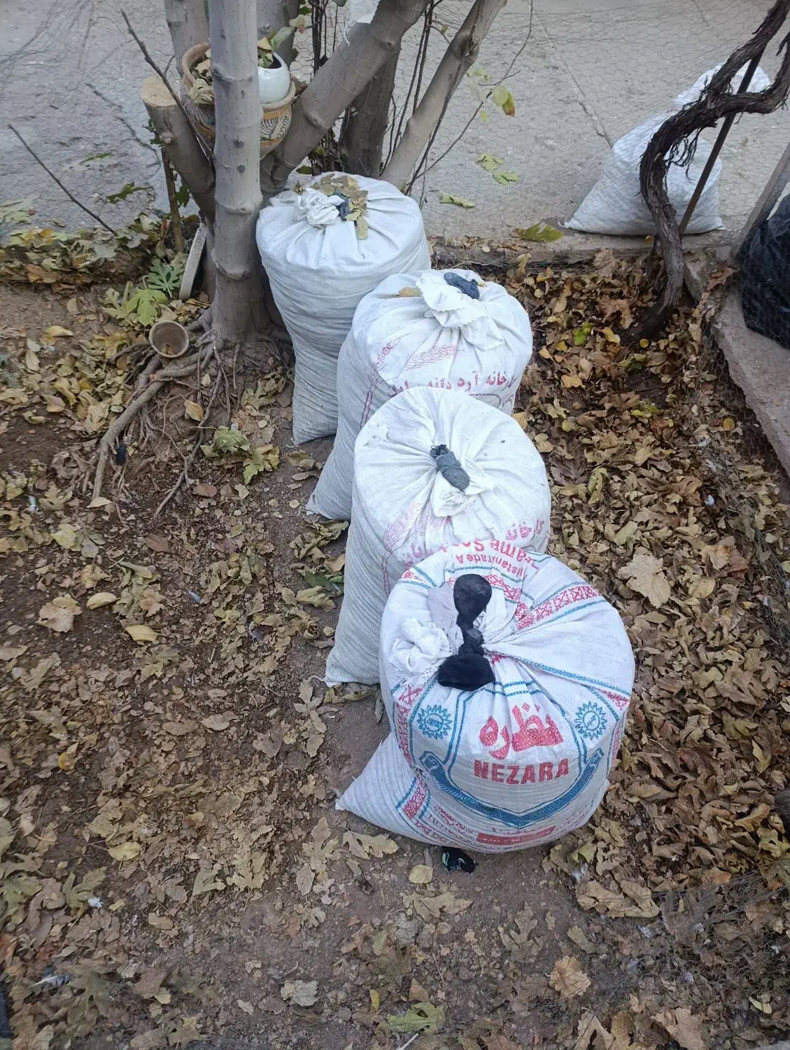 چند عدد گونی کود|گل و گیاه طبیعی|کرمان, |دیوار