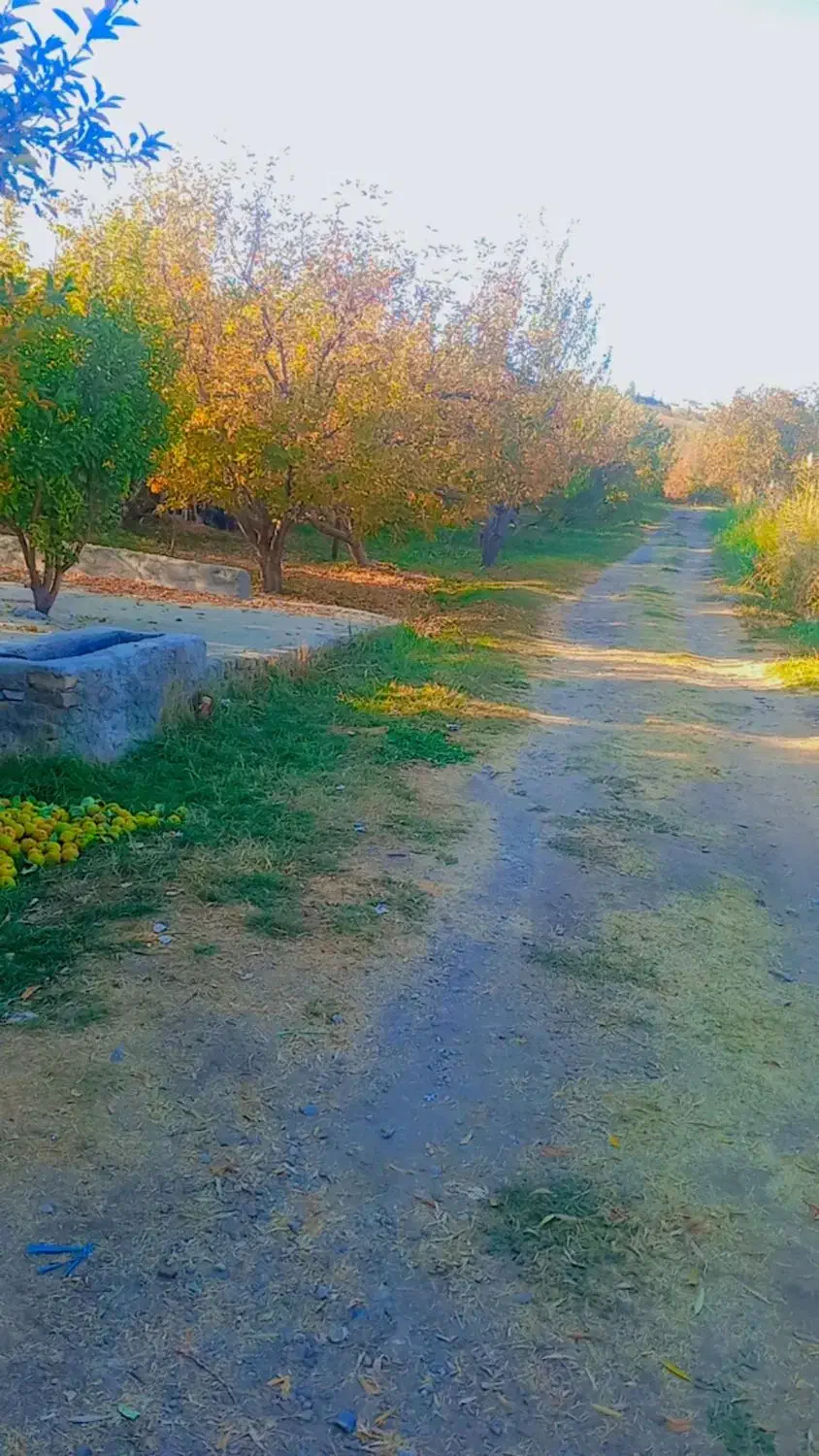 عکسی برداری.|خدمات پذیرایی، مراسم|بروجرد, |دیوار