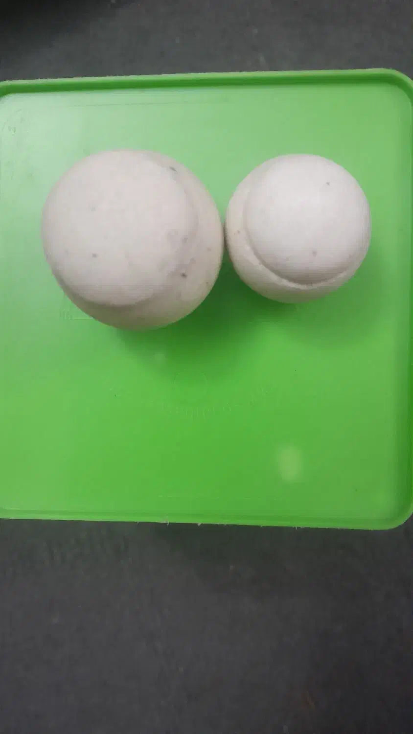 سنگ آسیاب ازمایش شده|کلکسیون اشیاء عتیقه|قدس, شهر‌قدس|دیوار