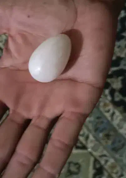 این سنگ|جواهرات|خوی, |دیوار