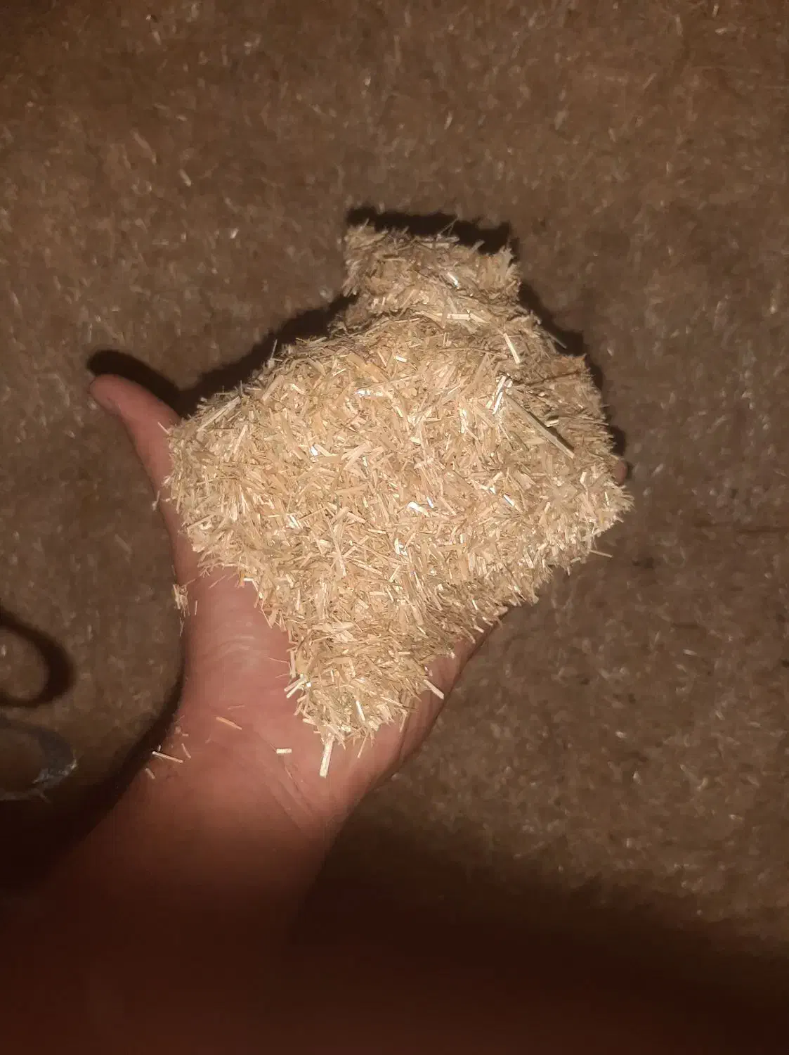 کاه گندم|لوازم جانبی حیوانات|سملقان, |دیوار