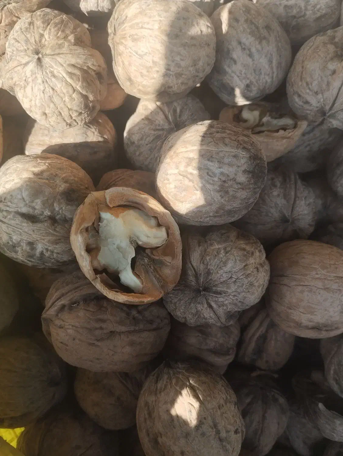 گردومحلی بافت|خوردنی و آشامیدنی|زرند, |دیوار