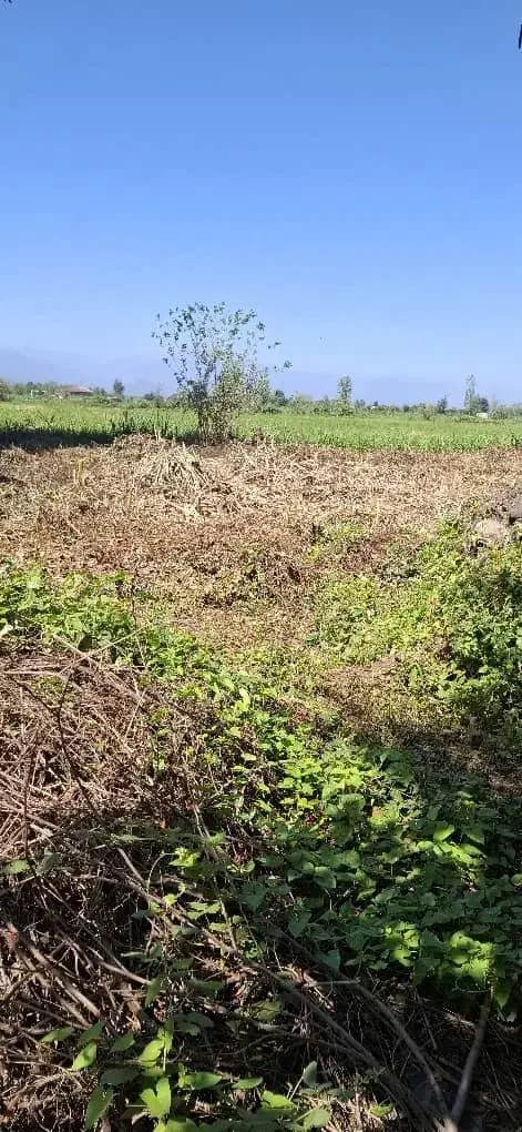 208متر کامل مسکونی|فروش زمین و ملک کلنگی|فومن, |دیوار