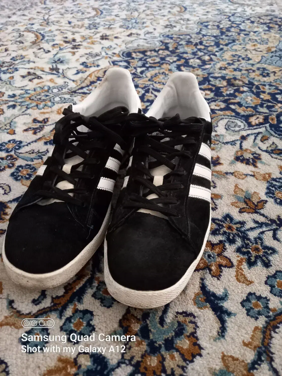 کتانی مردانه سایز ۴۲|کیف، کفش، کمربند|ساری, |دیوار