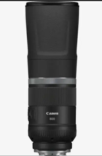 canon rf 800mm f11|دوربین عکاسی و فیلمبرداری|تهران, ایران|دیوار