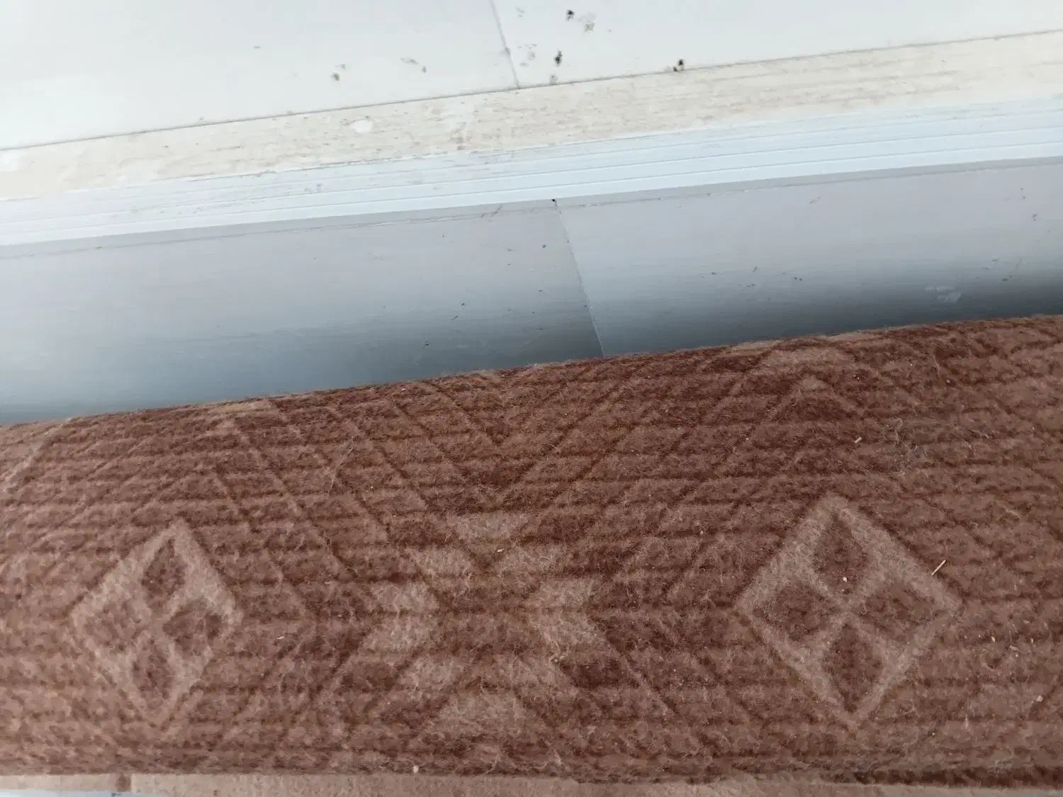 موکت در حد نو|موکت|قروه, |دیوار