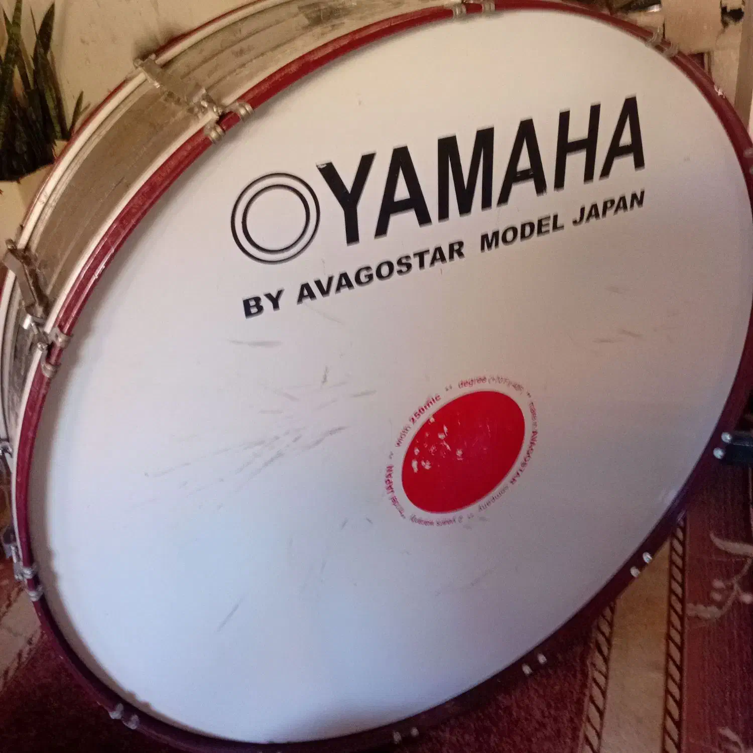 طبل|درام و پرکاشن|مینودشت, |دیوار