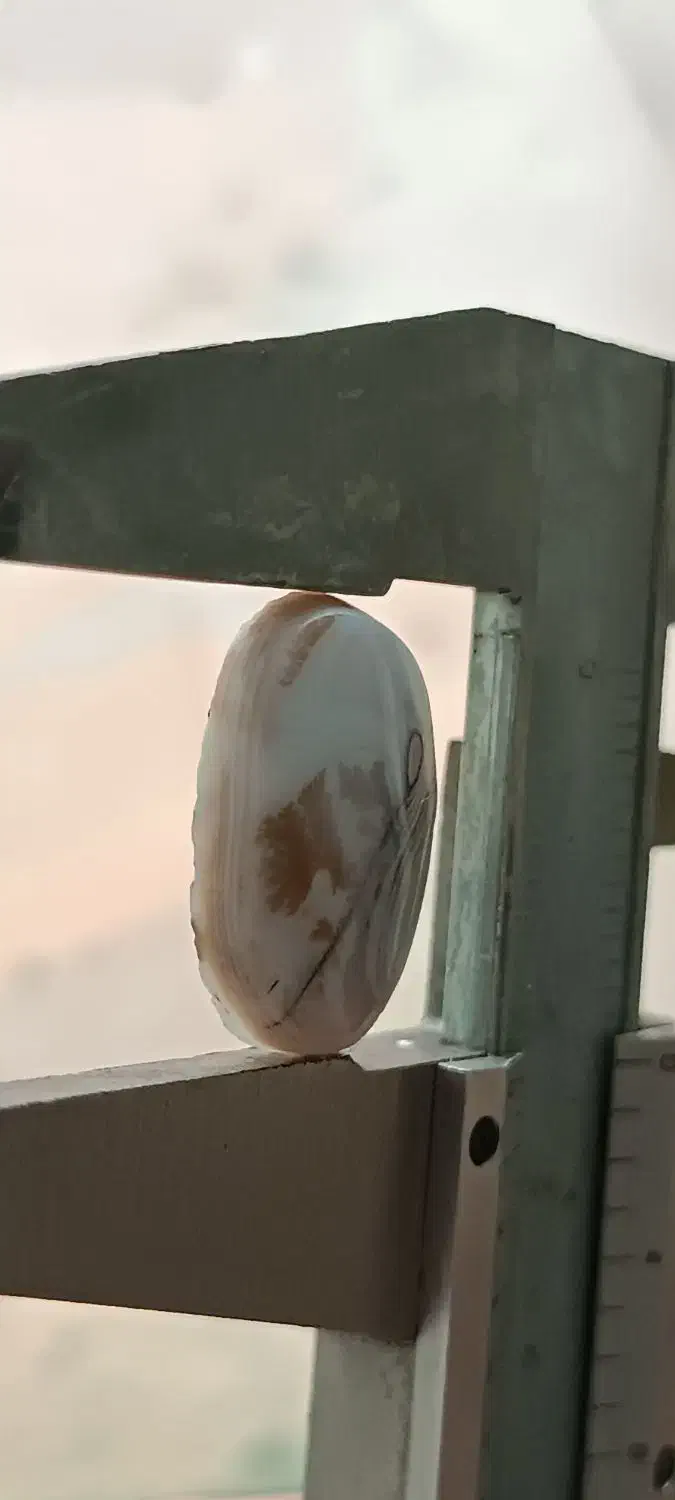 سنگ شجر شجر تک درخت|جواهرات|سلماس, |دیوار