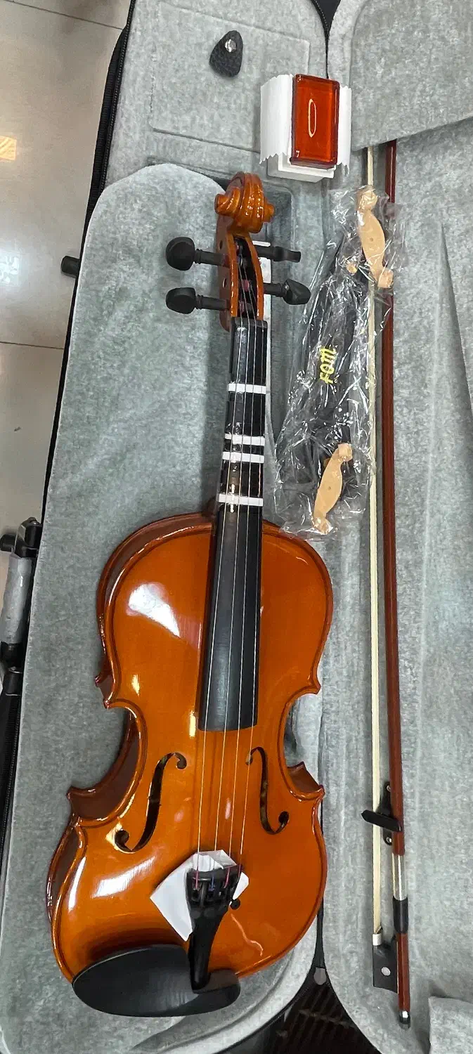 ویالن|ویولن|اصفهان, باغ دریاچه|دیوار