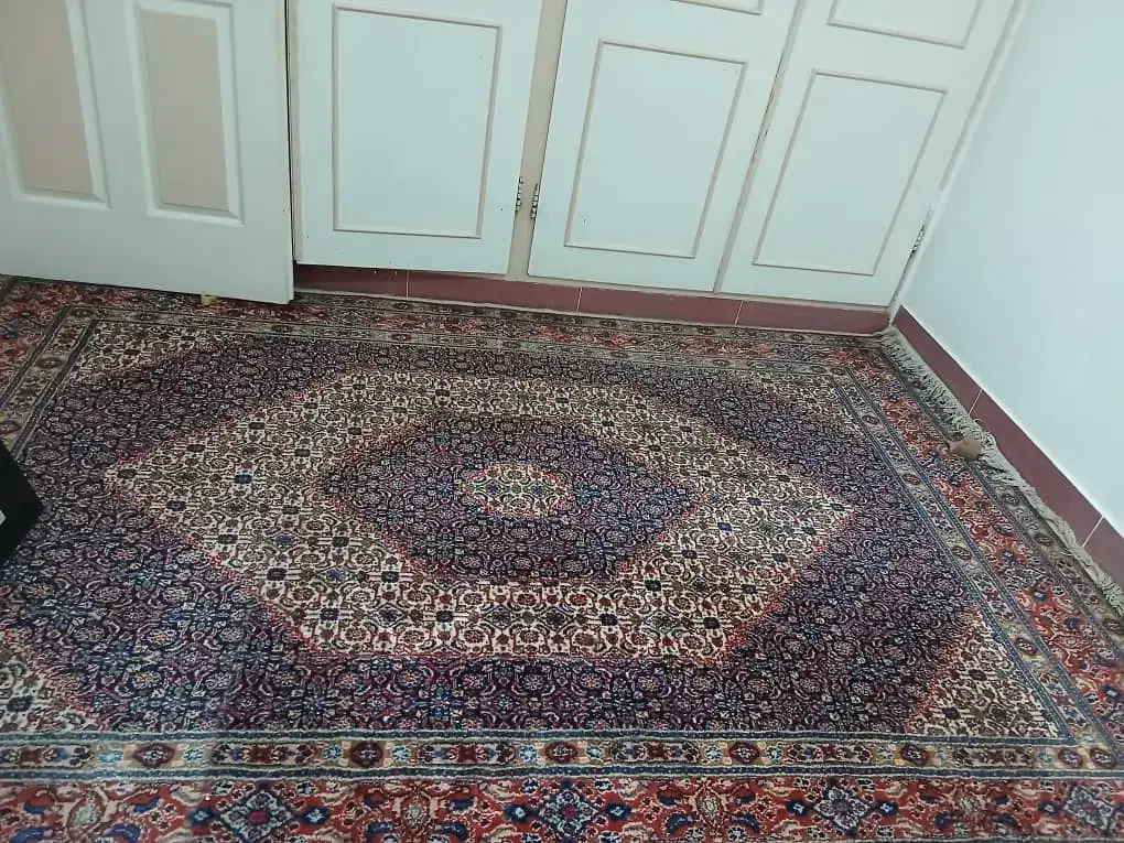 فرش دستباف|فرش|زاهدان, |دیوار