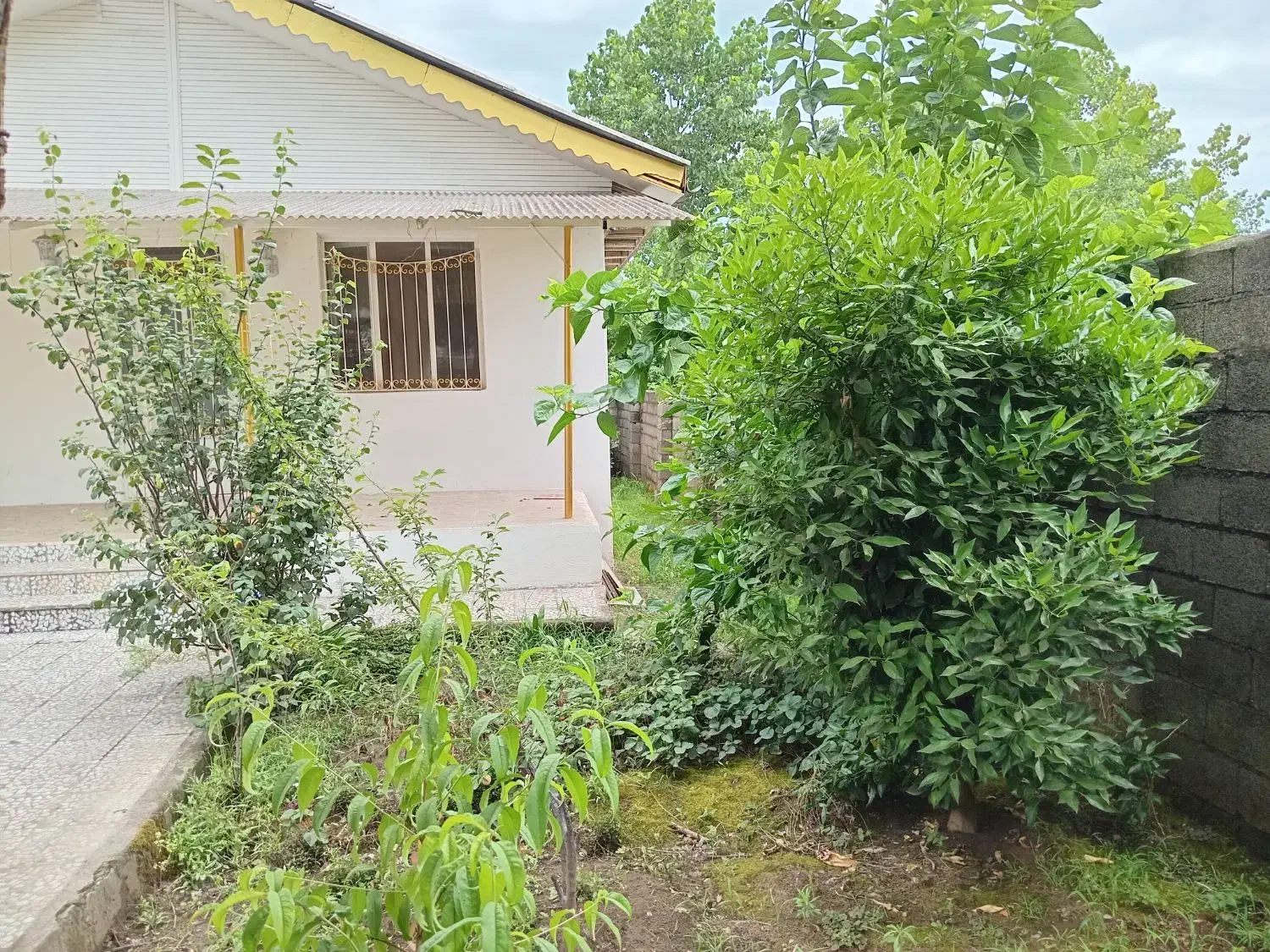 خانه۱۱۰متردر۳۰۰مترزمین نزدیک دریاشهرک انصاری رودسر|فروش خانه و ویلا|رودسر, |دیوار