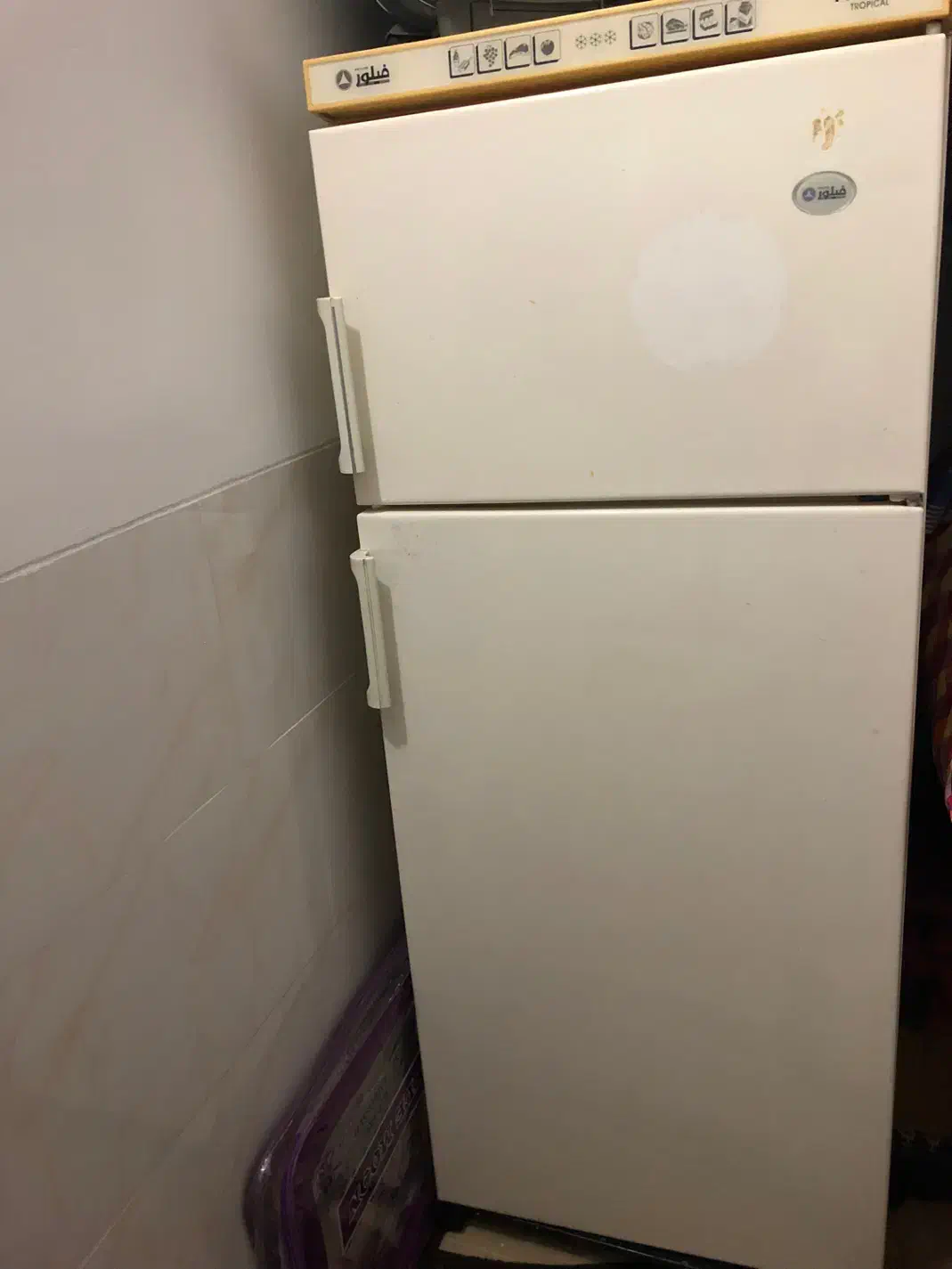 یخچال فیلور|یخچال و فریزر|یزد, |دیوار