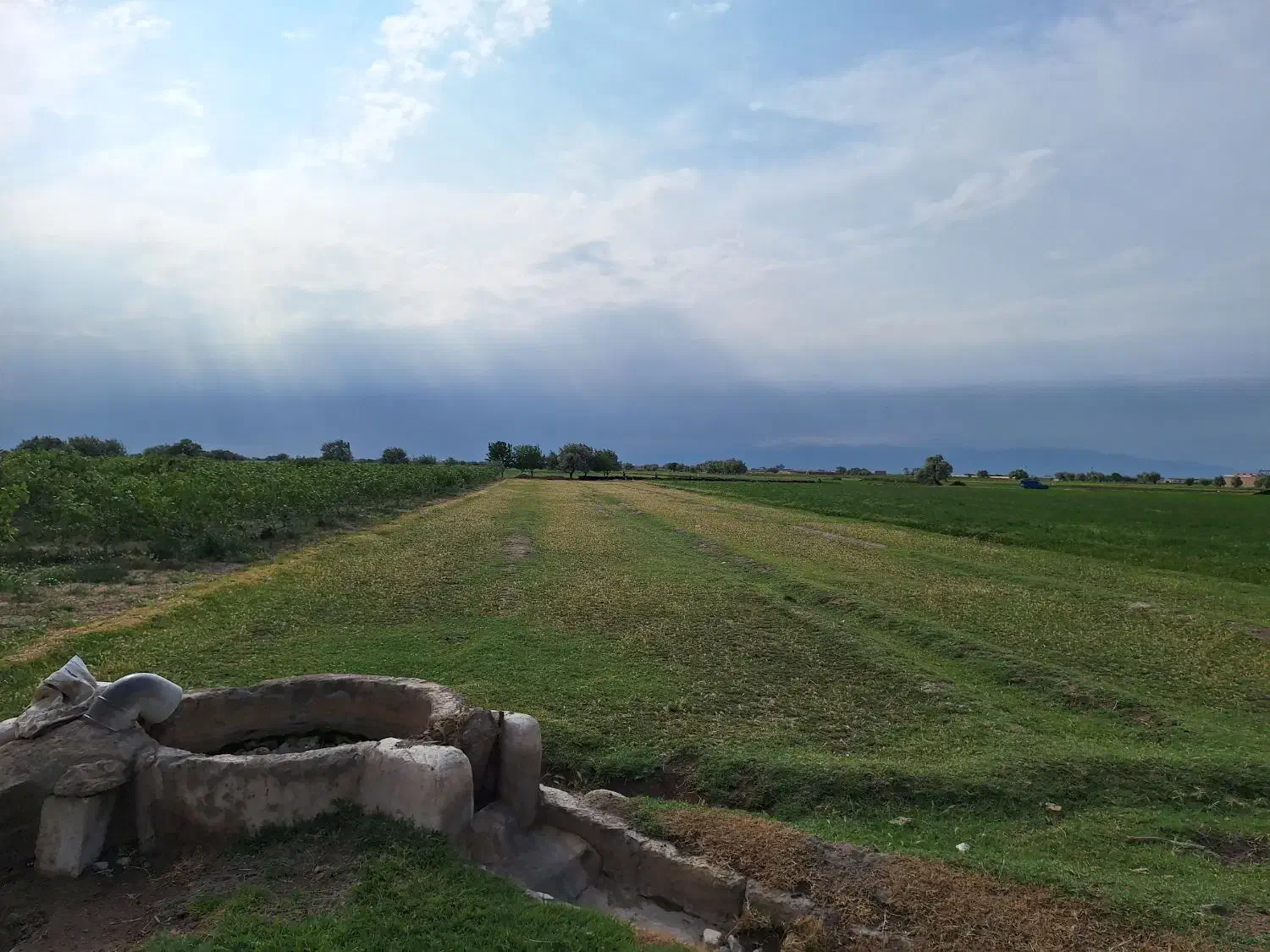 ویلایی . کارگاهی .گلخانه ای و غیره|فروش زمین و ملک کلنگی|خسروشاه, |دیوار