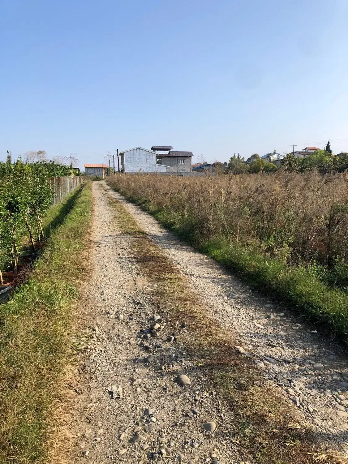 فروش یک قطعه ۴۰۰ متری|فروش زمین و ملک کلنگی|شیرود, |دیوار