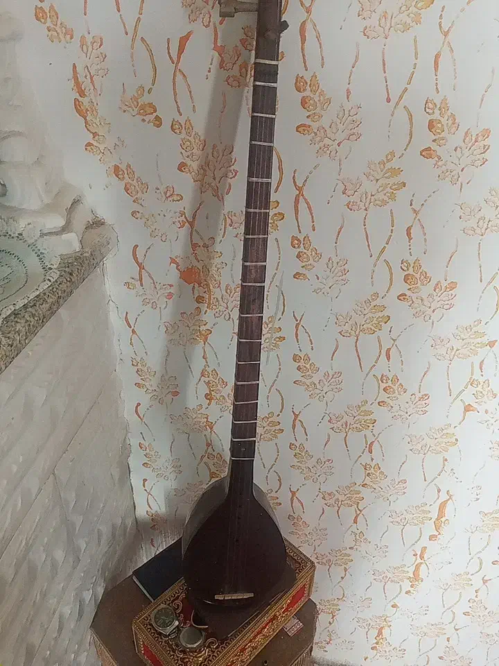 فروش سه تاردرحدنو|سازهای سنتی|بیستون, |دیوار