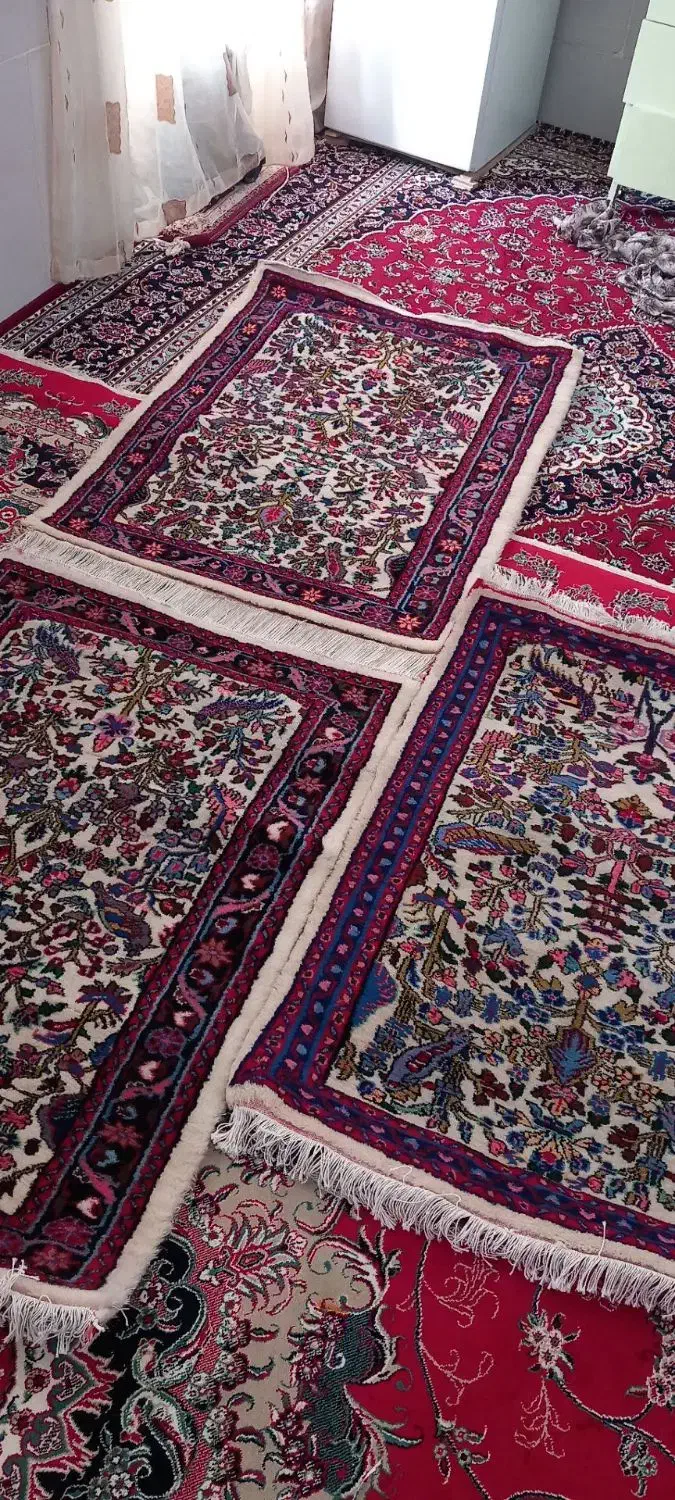 فرش سه تا یک رنگ|فرش|قم, شاه ابراهیم|دیوار