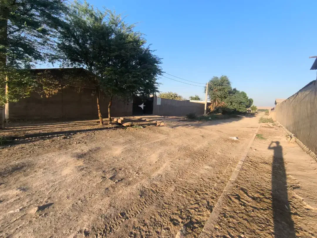 دامداری|فروش دفتر صنعتی، کشاورزی، تجاری|سوسنگرد, |دیوار