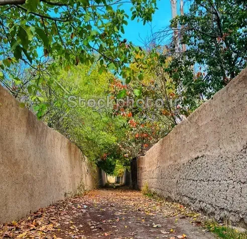 اجاره کوتاه مدت باغ ویلا مهریز|اجارهٔ کوتاهمدت ویلا و باغ|یزد, |دیوار