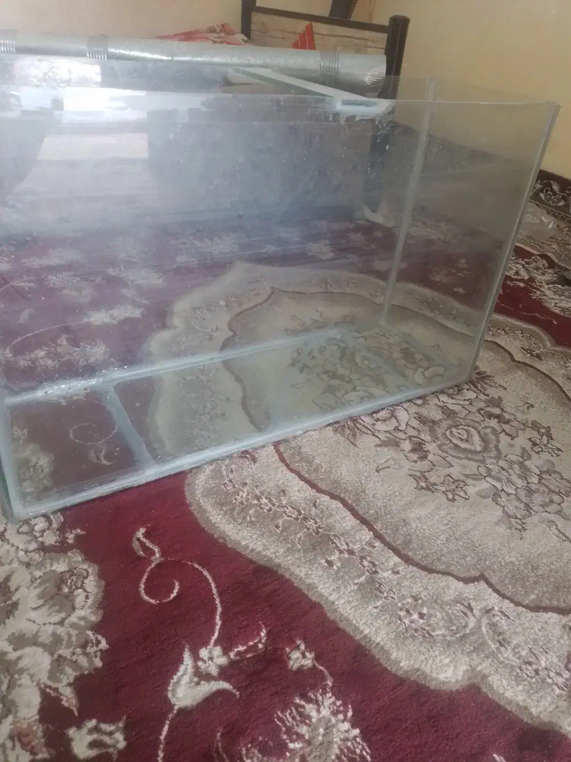 آکواریوم|لوازم جانبی حیوانات|بردسیر, |دیوار