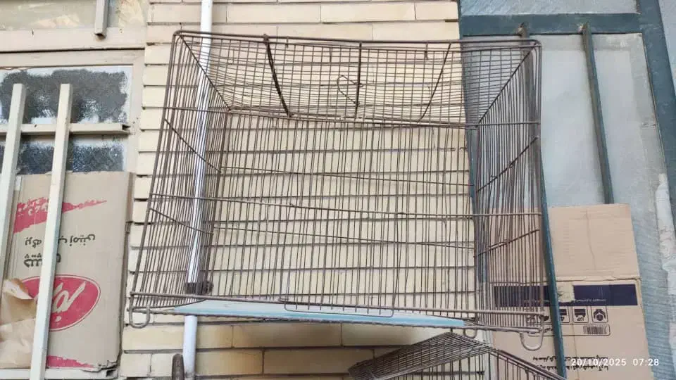 قفس پرنده فقط ۳۰۰ تومن مقطوع|لوازم جانبی حیوانات|خرمشهر, |دیوار