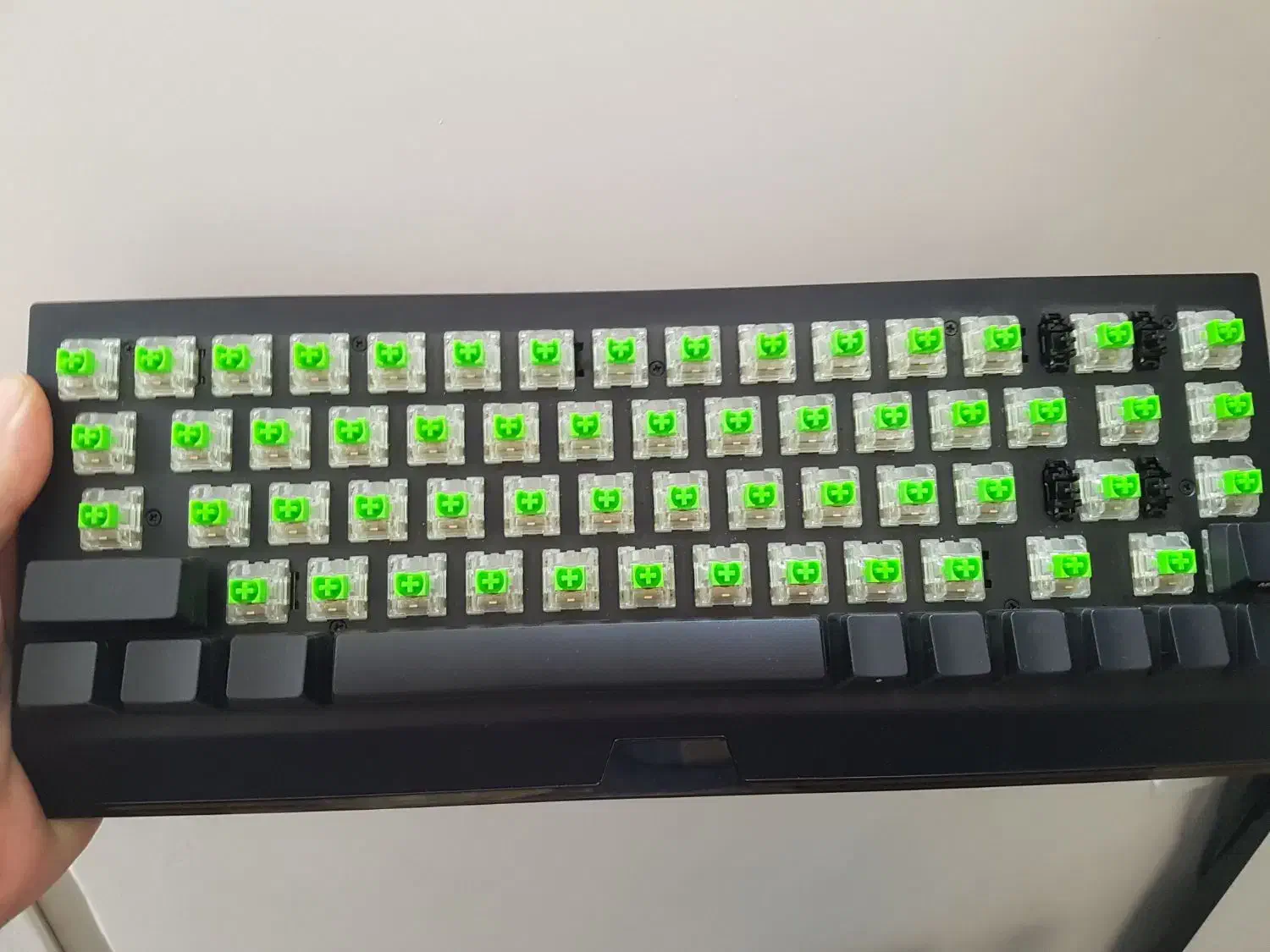 موس و ترکپد اپل و کیبورد ریزر|قطعات و لوازم جانبی رایانه|تهران, باغ فیض|دیوار