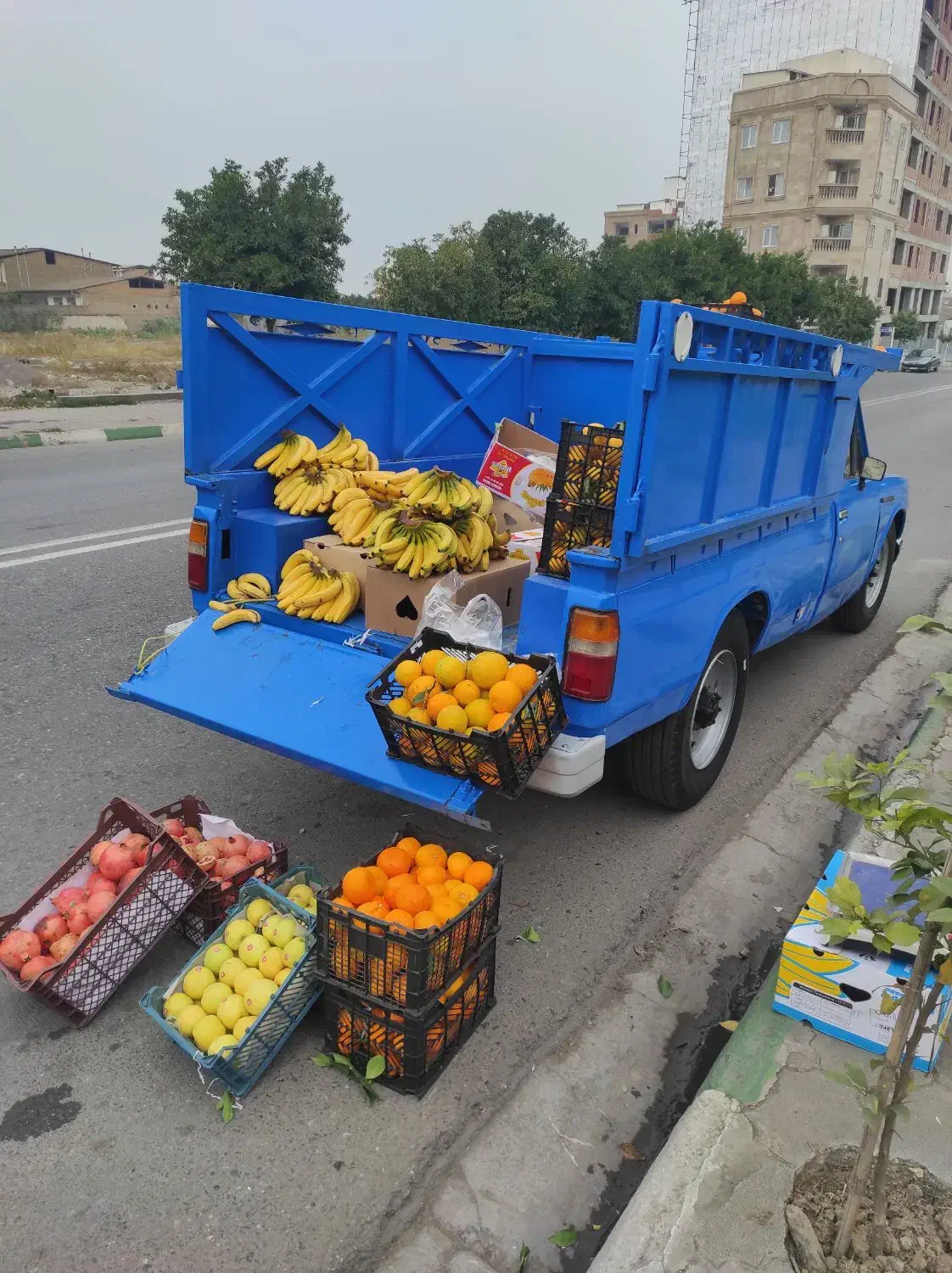 نیسان مدل ۷۹|خودرو سواری و وانت|گرگان, |دیوار