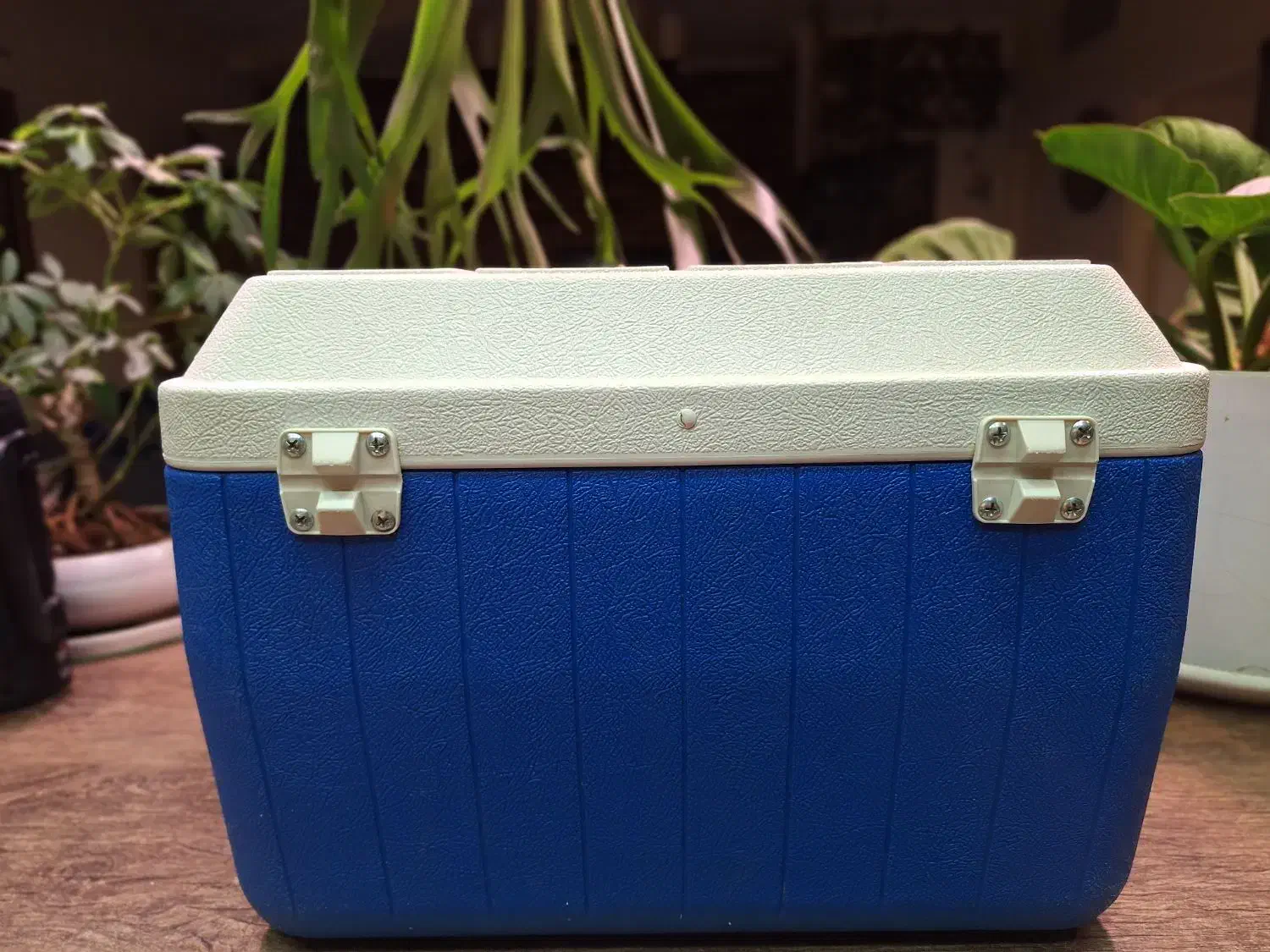 کلمن.یخدان|ظروف نگهدارنده، پلاستیکی، یک‌بارمصرف|تهران, نارمک جنوبی|دیوار