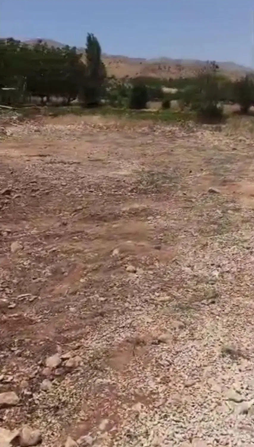 زمین سپیدار مرکزی|فروش زمین و ملک کلنگی|سپیدار, |دیوار