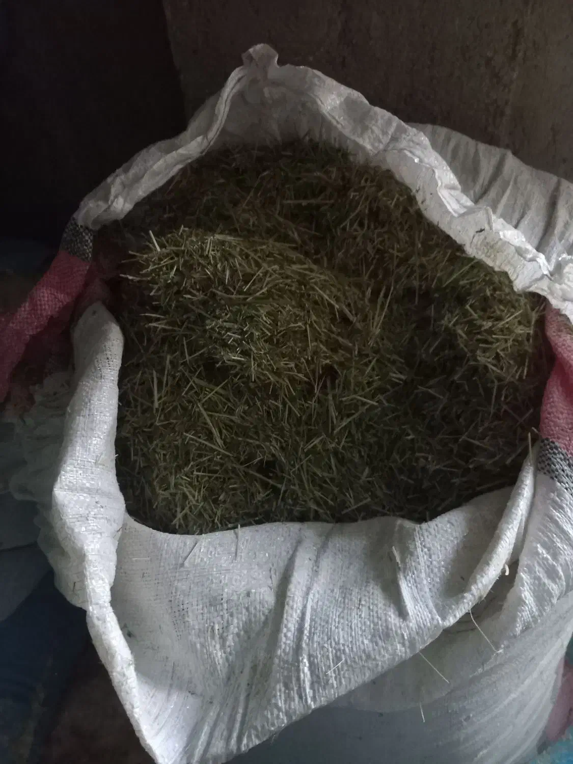 کاه|لوازم جانبی حیوانات|بروجرد, |دیوار