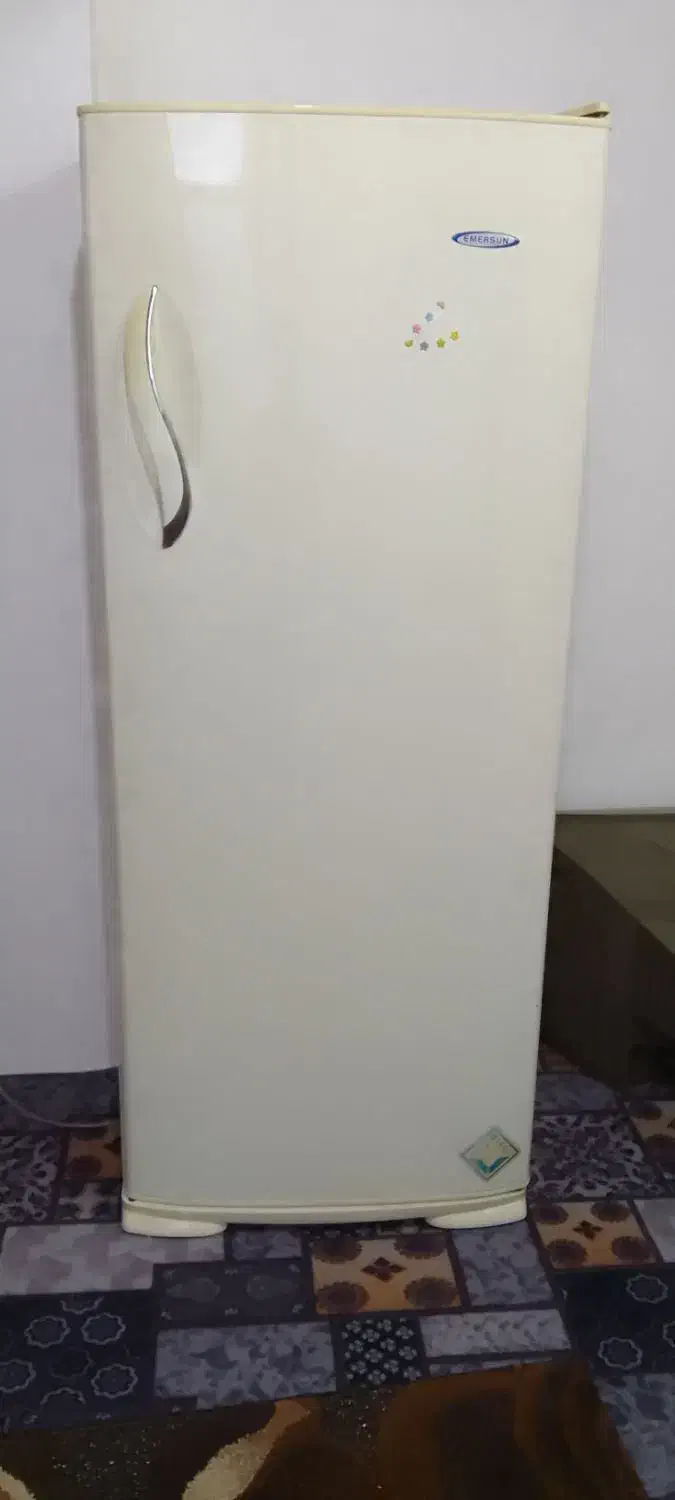 یخچال تروتمیز|یخچال و فریزر|املش, |دیوار