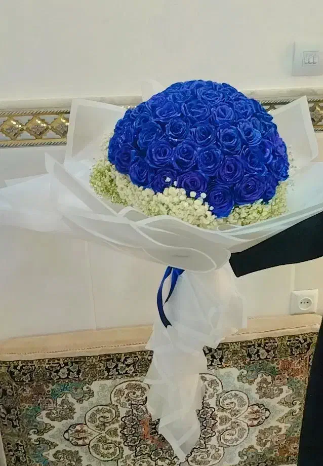 valentain|گل مصنوعی|قم, نیروگاه|دیوار