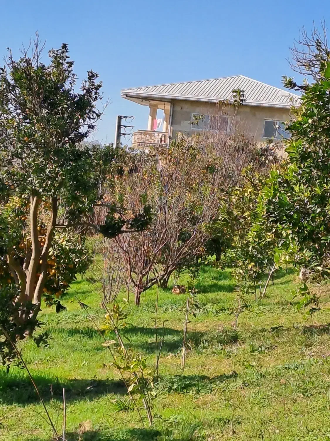 سرایدار باغ|استخدام سرایداری و نظافت|شیرگاه, |دیوار