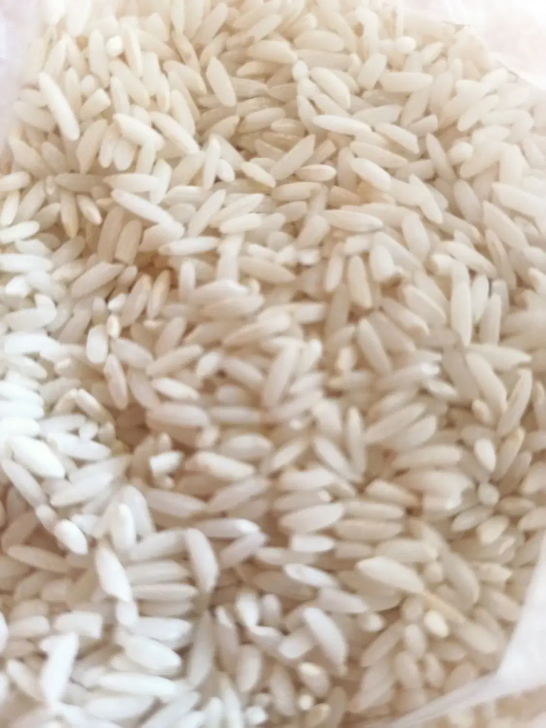 برنج درجه یک علی کاظمی|عمده‌فروشی|سیلاخور, |دیوار