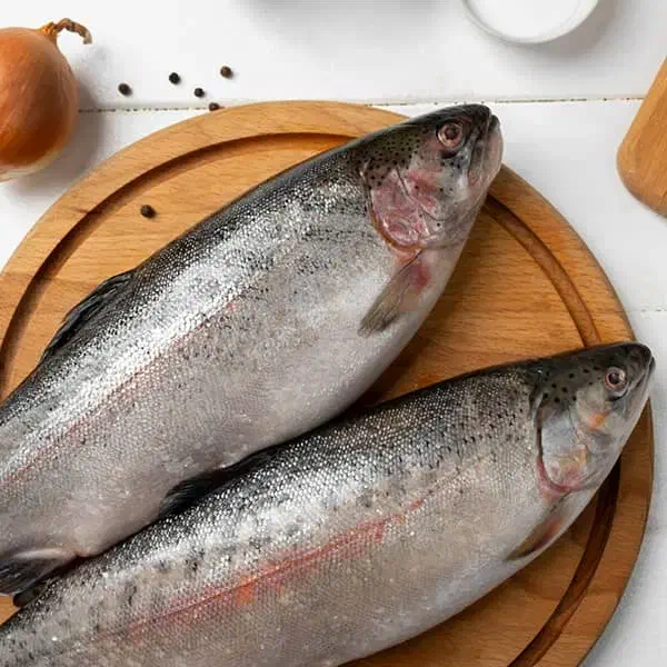 ماهی قزل آلا زنده|ماهی|محمدشهر, محمدشهر|دیوار