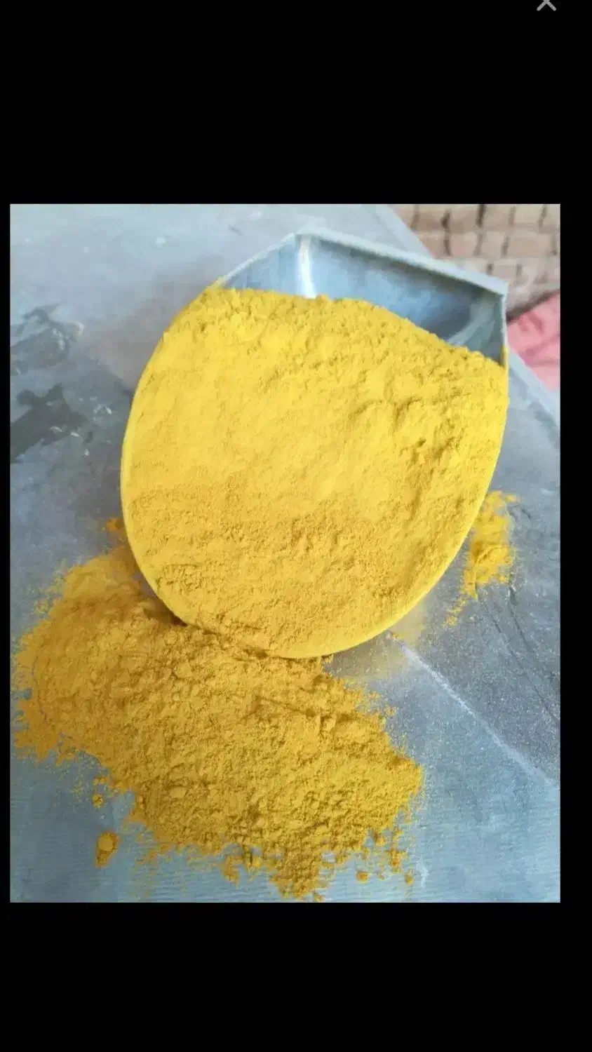 زرنیخ طلایی اصل|فعالیت داوطلبانه|شیراز, لشکری‎|دیوار