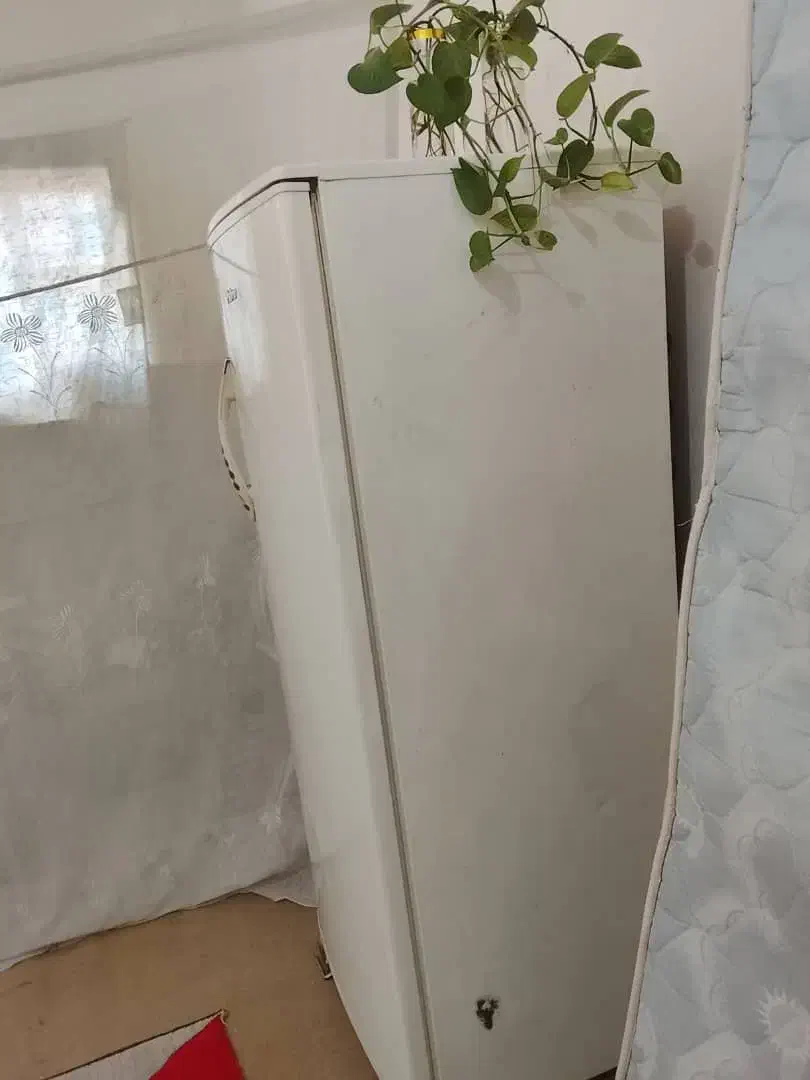 یخچال فلیور و اجاق گاز دو شعله|یخچال و فریزر|گنبد کاووس, |دیوار