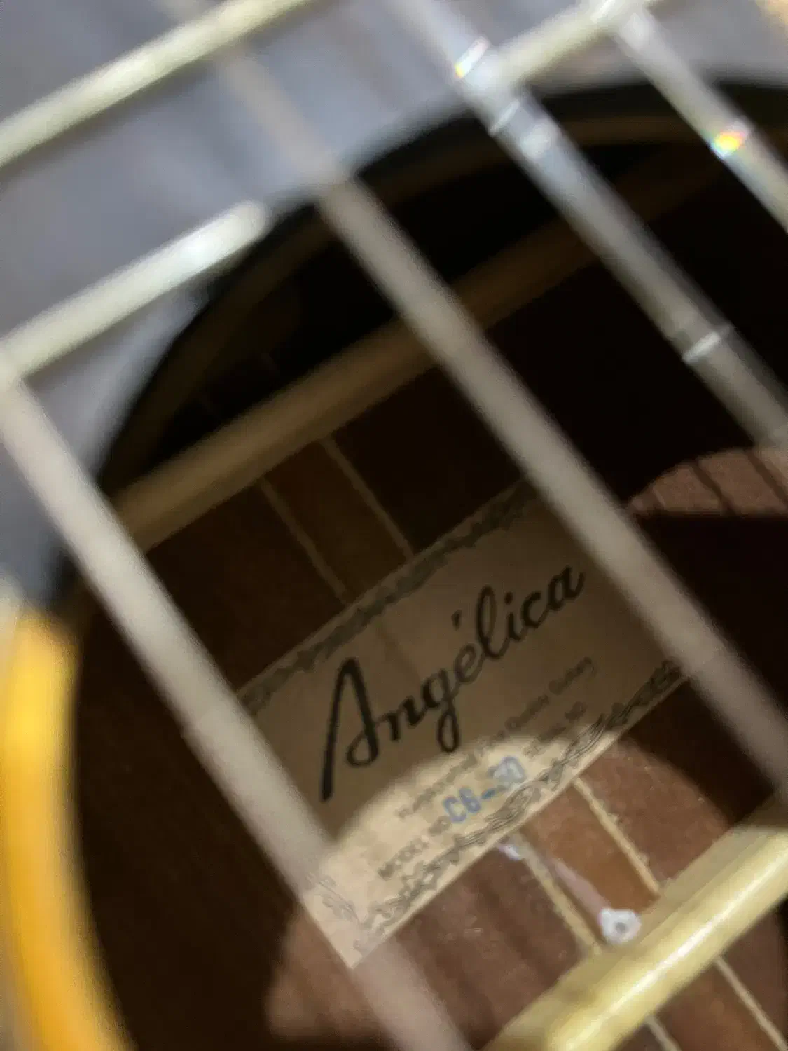 گیتار کلاسیک|گیتار، بیس، امپلیفایر|تهران, شهر زیبا|دیوار