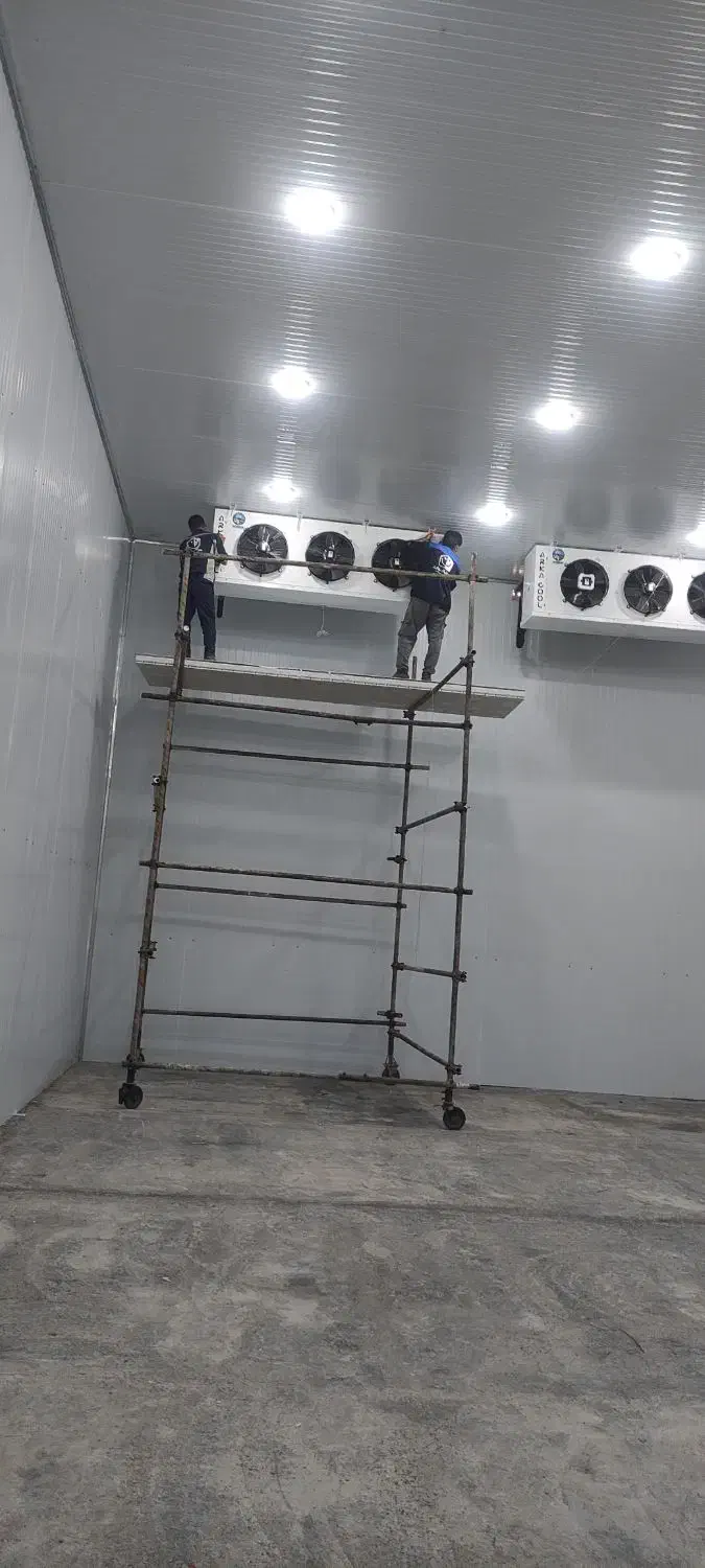 طراحی و ساخت انواع سردخانه های بالاصفر و زیرصفر|ماشین‌آلات صنعتی|استهبان, |دیوار