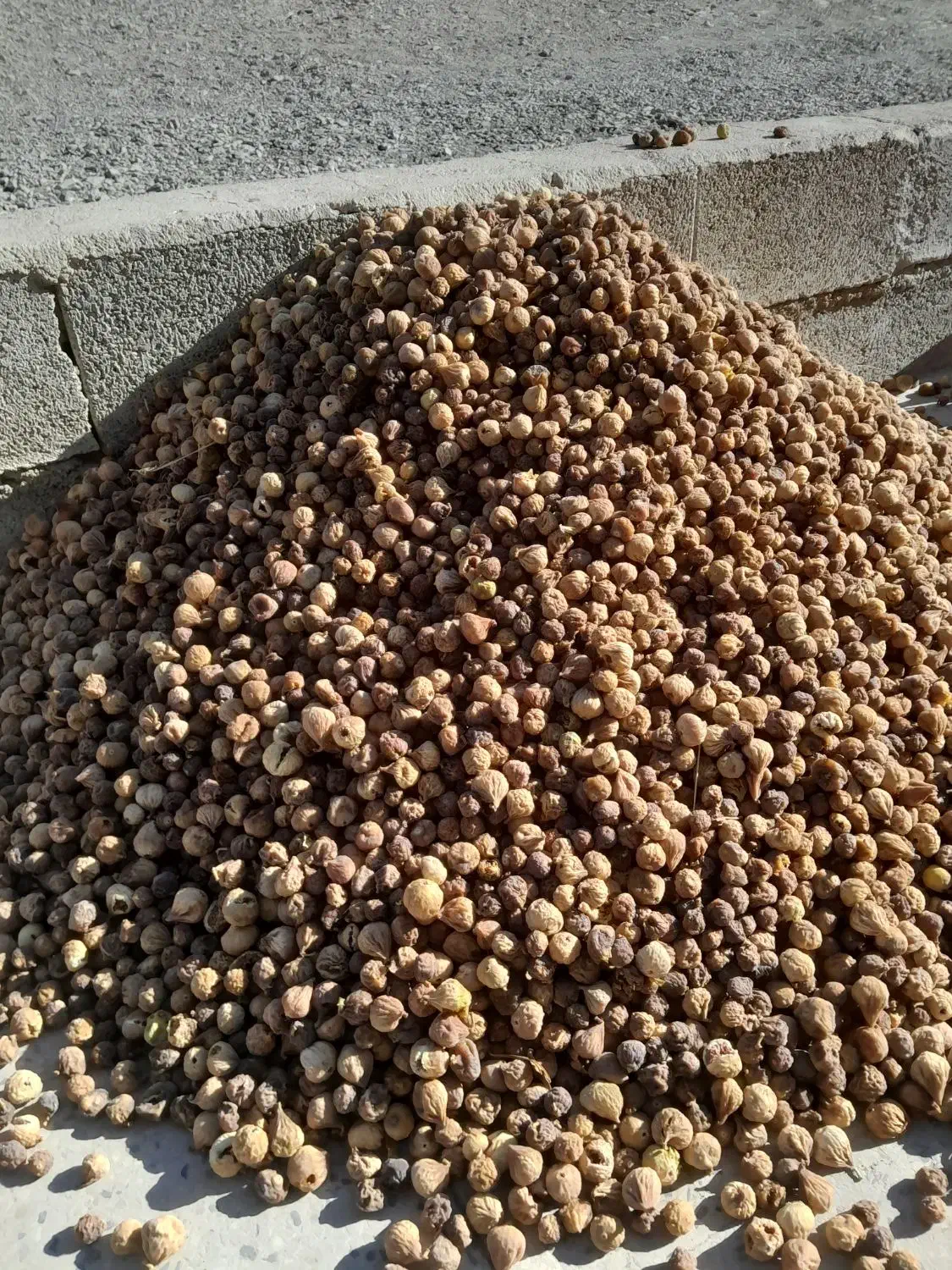 انجیر در هم|حراج|کازرون, |دیوار