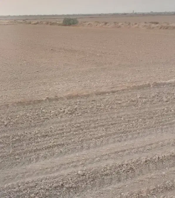 اجاره زمین کشاورزی|اجارهٔ دفتر صنعتی، کشاورزی، تجاری|اهواز, اسماعیلیه|دیوار