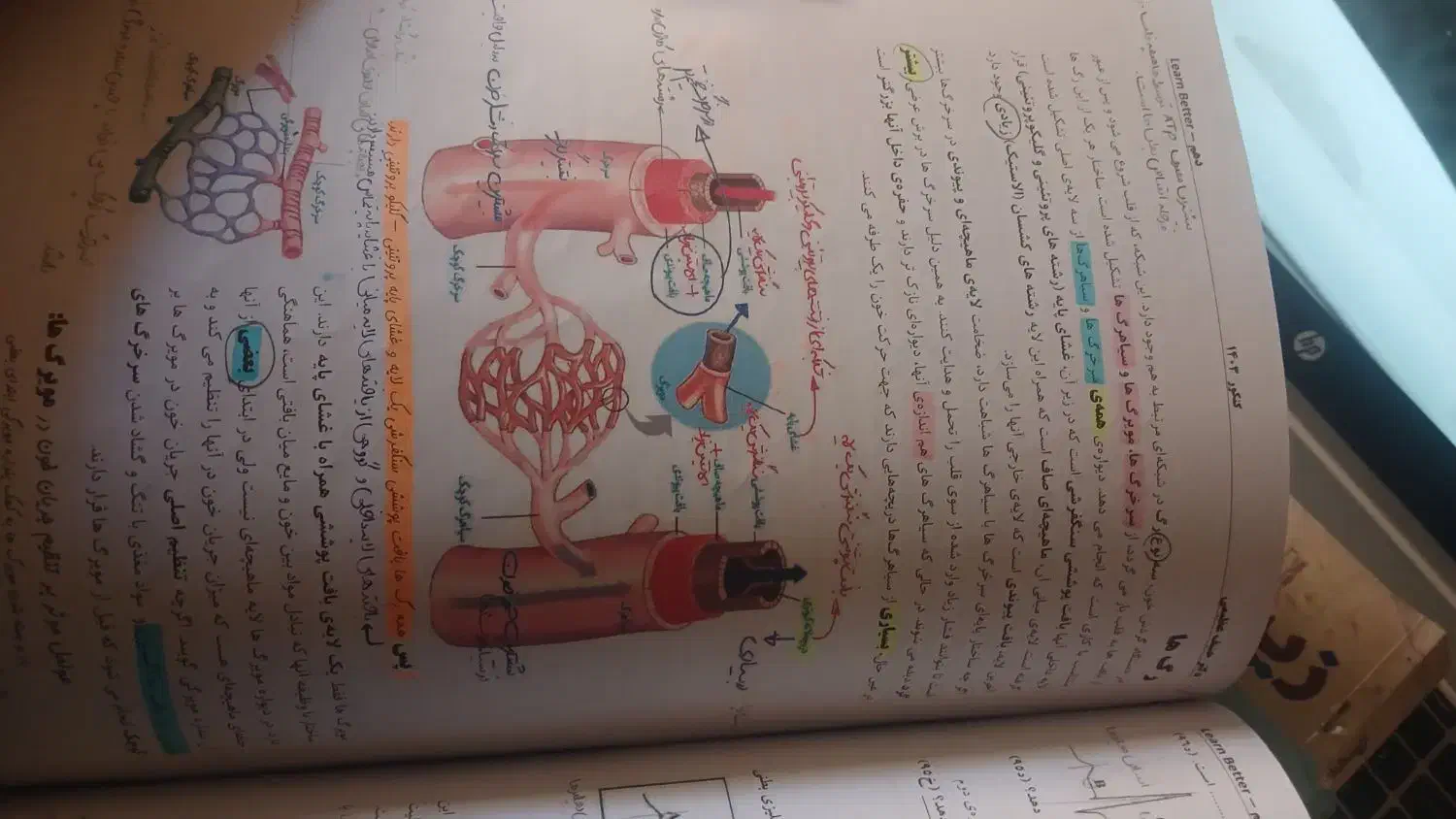 حنیف عظیمی زیست 3 جلدی کامل جزوه|کتاب و مجله آموزشی|قم, سالاریه|دیوار