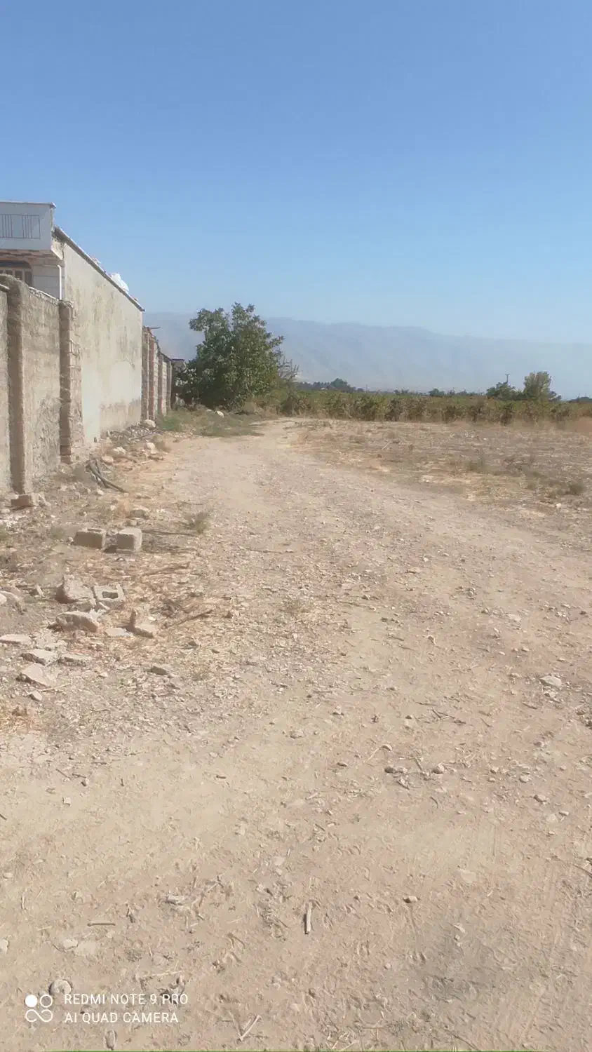سلام زمین درشهرستان کوار جاده محموداباد|فروش زمین و ملک کلنگی|طسوج, |دیوار