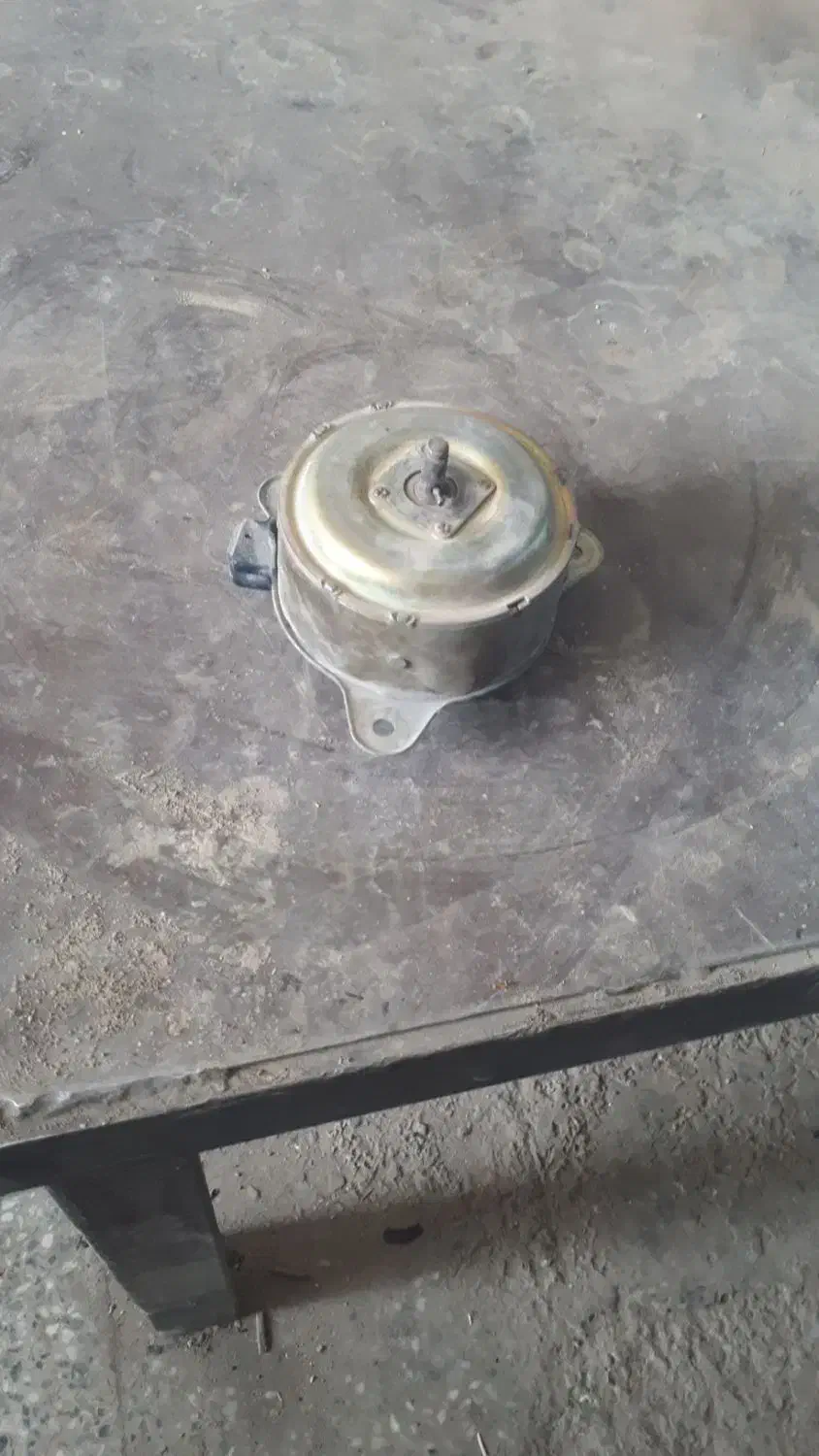 موتر فن پژو|قطعات یدکی و لوازم جانبی|نیمروز, |دیوار